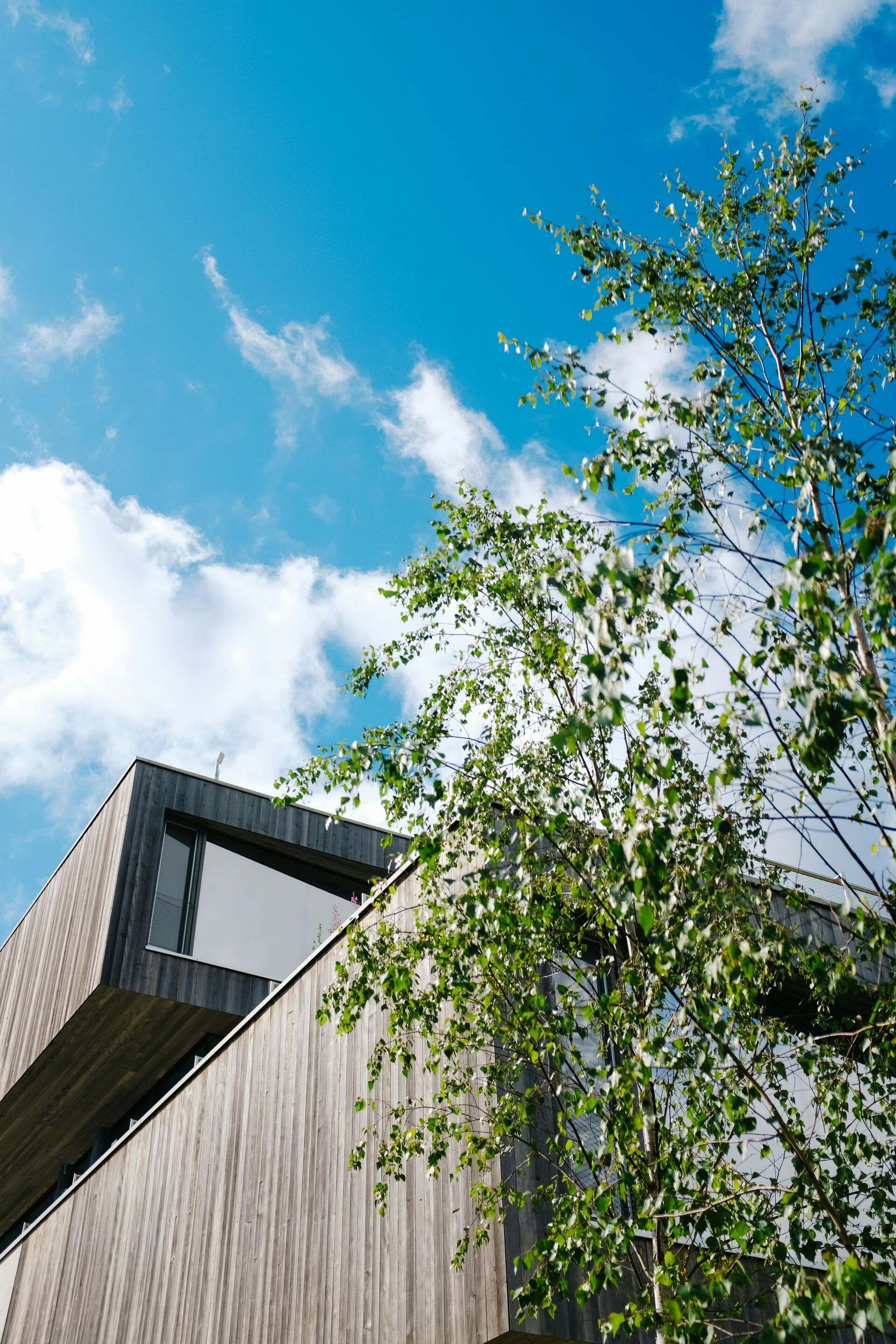 modernes Haus bei gutem Wetter